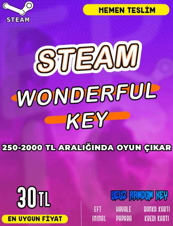 Steam Random (WONDERFUL) Key_643b5ec0ebd0d.jpeg